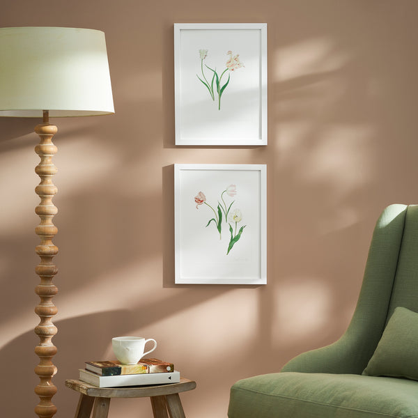 Sophie Allport Tulips Print