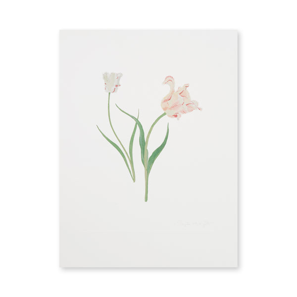 Sophie Allport Tulips Print