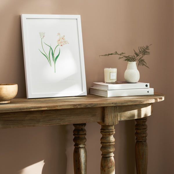 sophie allport Tulips Print