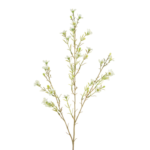 sophie allport Wax Flower