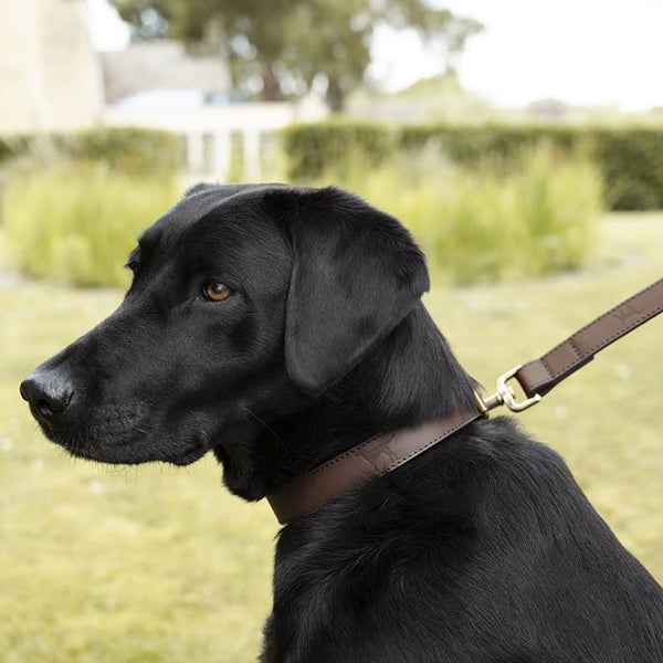 Sophie Allport Woof Leather Dog Lead