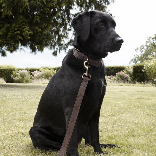 sophie allport Woof Leather Dog Lead