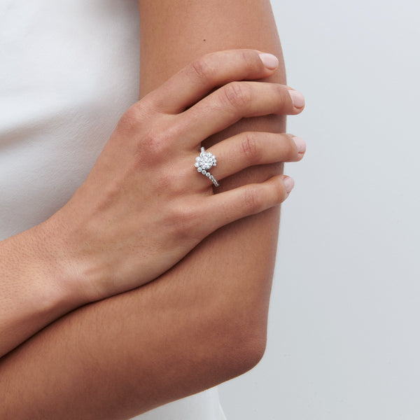 Sophie Bille Brahe Celestine Blanc