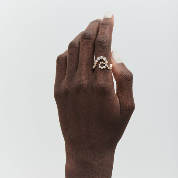 Sophie Bille Brahe Chassé