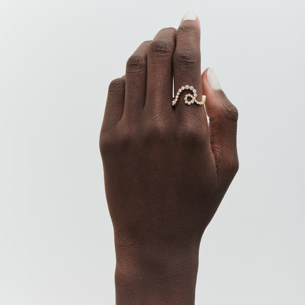 Sophie Bille Brahe Chassé Ensemble