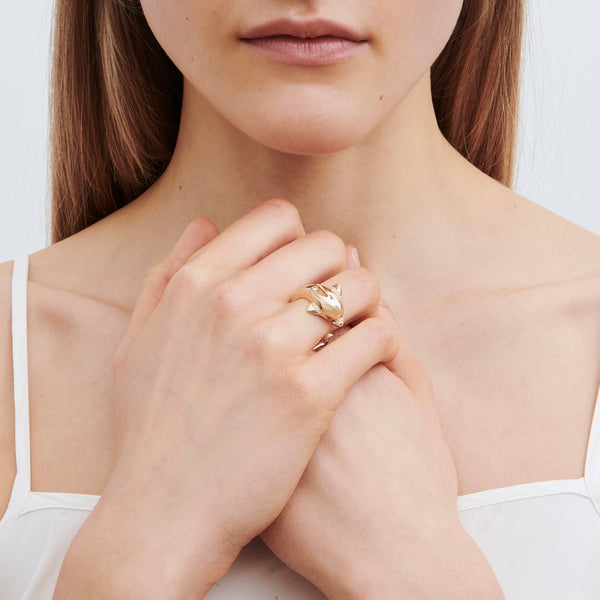 Sophie Bille Brahe Dauphin Elizabeth