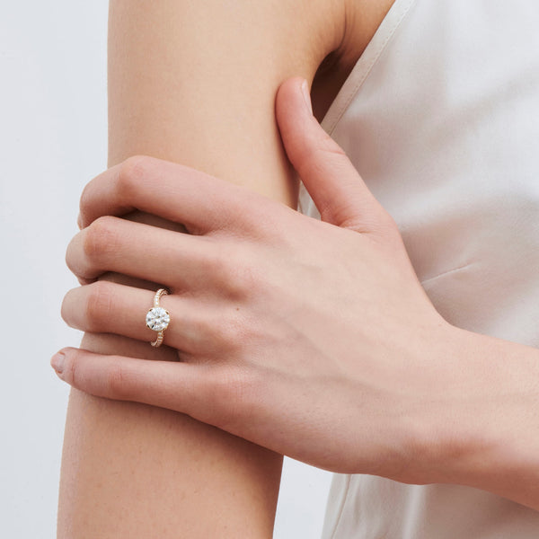 Sophie Bille Brahe Diamant De La Reine