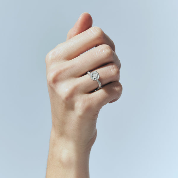 Sophie Bille Brahe Diamant De La Reine Blanc