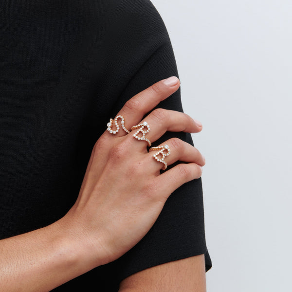 Sophie Bille Brahe Ensemble B