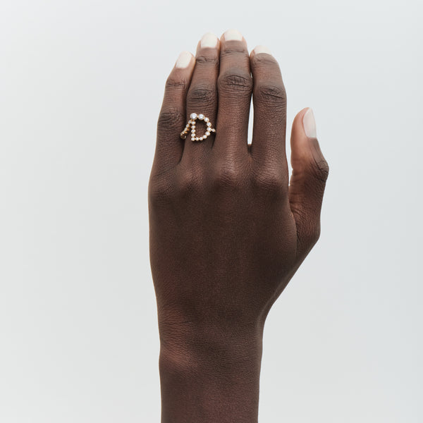 Sophie Bille Brahe Ensemble D