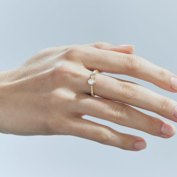 Sophie Bille Brahe Ensemble De Sky