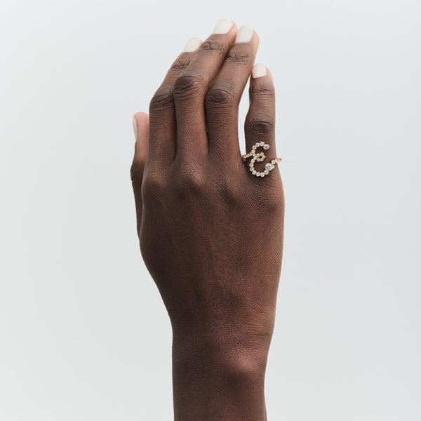 Sophie Bille Brahe Ensemble E