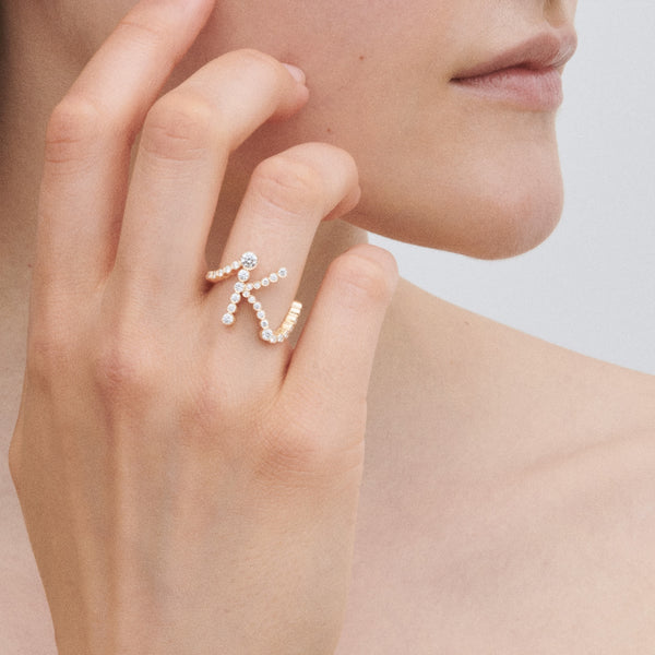 Sophie Bille Brahe Ensemble K