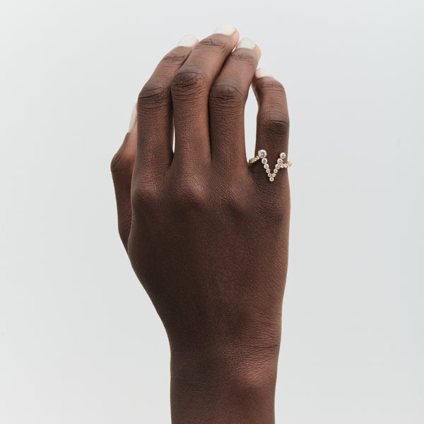 Sophie Bille Brahe Ensemble V