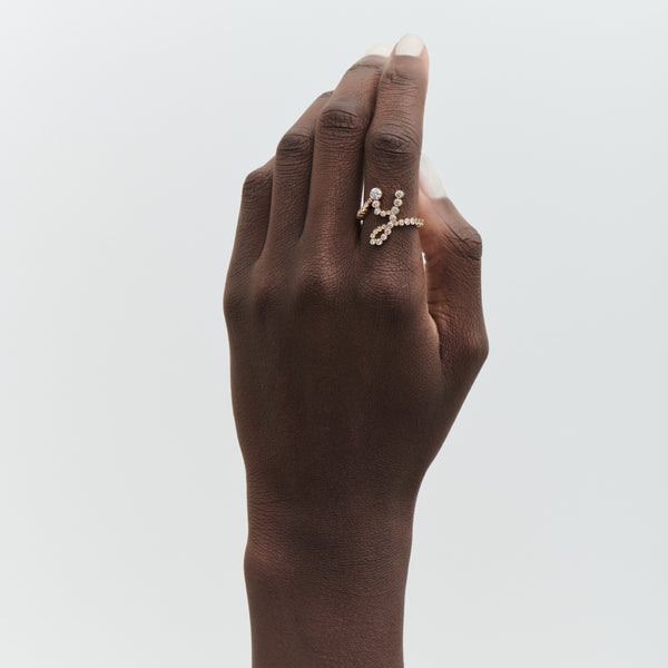 Sophie Bille Brahe Ensemble Y