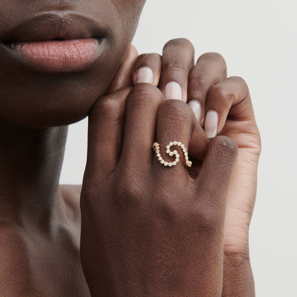 Sophie Bille Brahe Gaia Ensemble