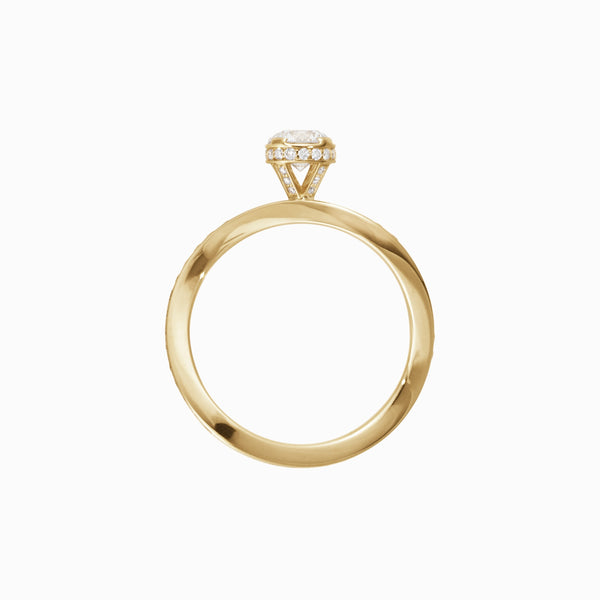 Sophie Bille Brahe Moi