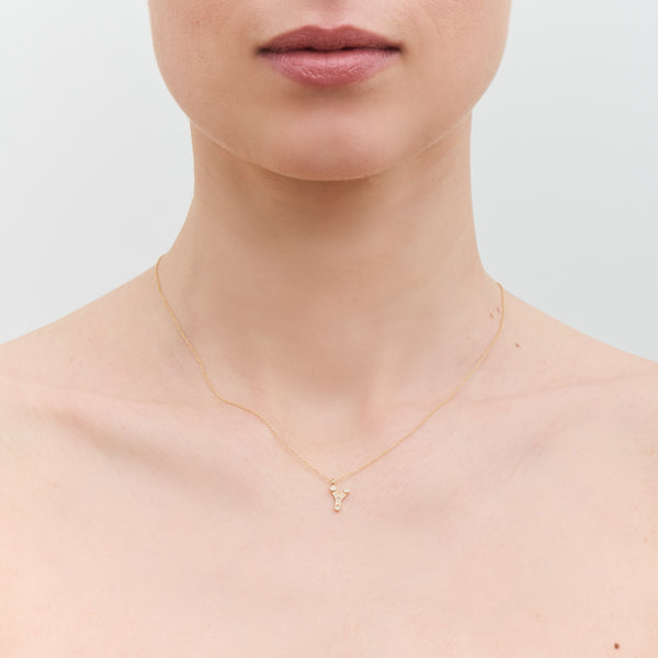 Sophie Bille Brahe Simple Y