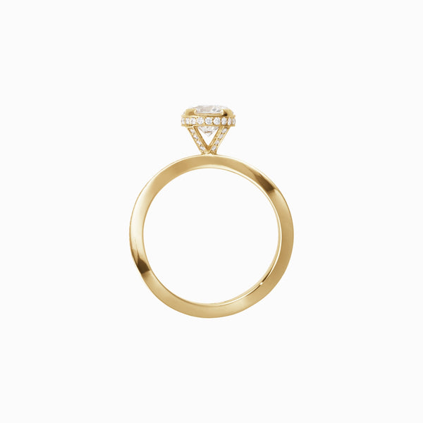 Sophie Bille Brahe Toi