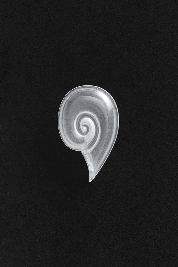 sophie buhai Quartz Coquille Box