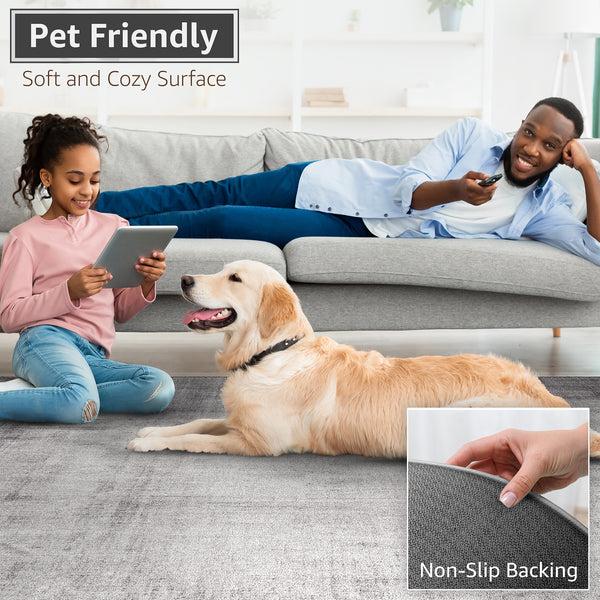 Sorbus Area Rug (2ft X 3ft)