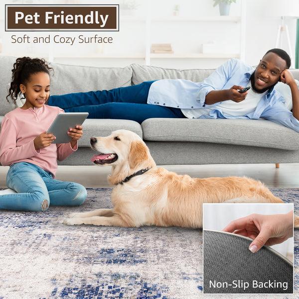 Sorbus Area Rug (3ft X 5ft)