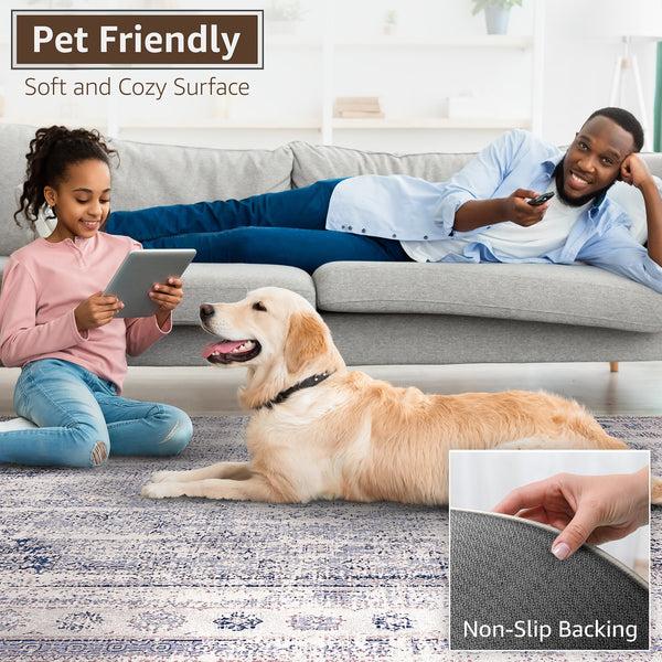 Sorbus Area Rug (3ft X5ft)