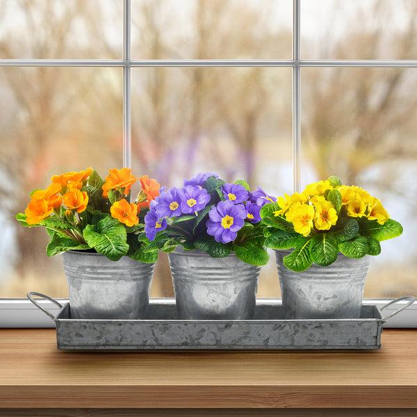 Sorbus Planter Pot Trio & Tray Set