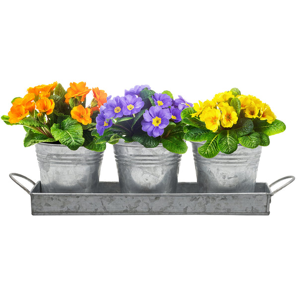 sorbus Planter Pot Trio & Tray Set