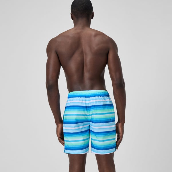 Speedo Men's Print Redondo Volley 18" Swim Trunks Blue/White