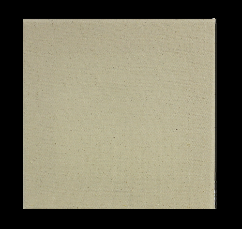 speedy pros Canvas Wall Art/Prints