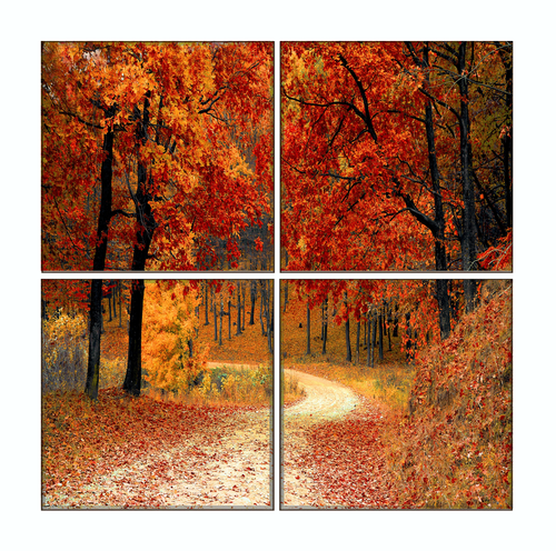 speedy pros Metal Photo Prints