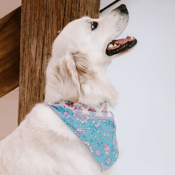 spell Lovers Beach Dog Bandana - Large