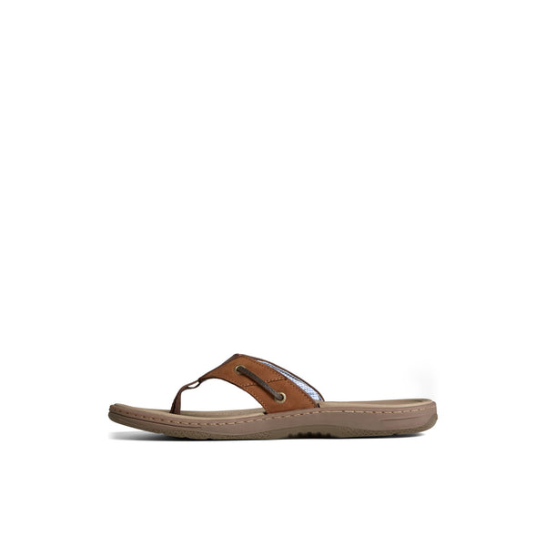 Sperry Top Sider Baitfish Leather Flip Flop Taupe