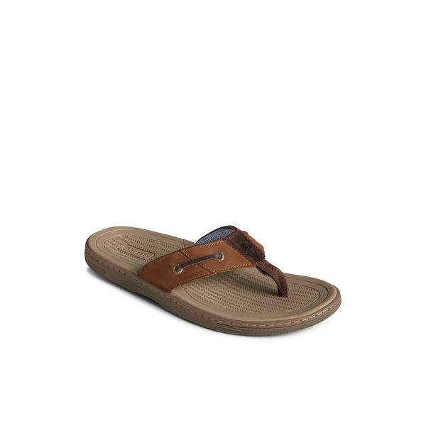 Sperry Top Sider Baitfish Leather Flip Flop Taupe