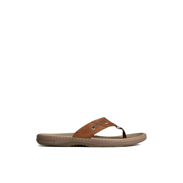 sperry top sider Baitfish Leather Flip Flop Taupe
