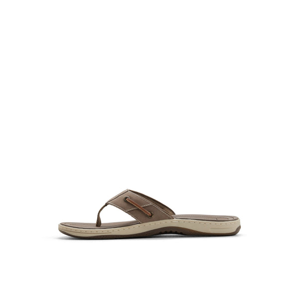 Sperry Top Sider Baitfish Thong Sandal Taupe