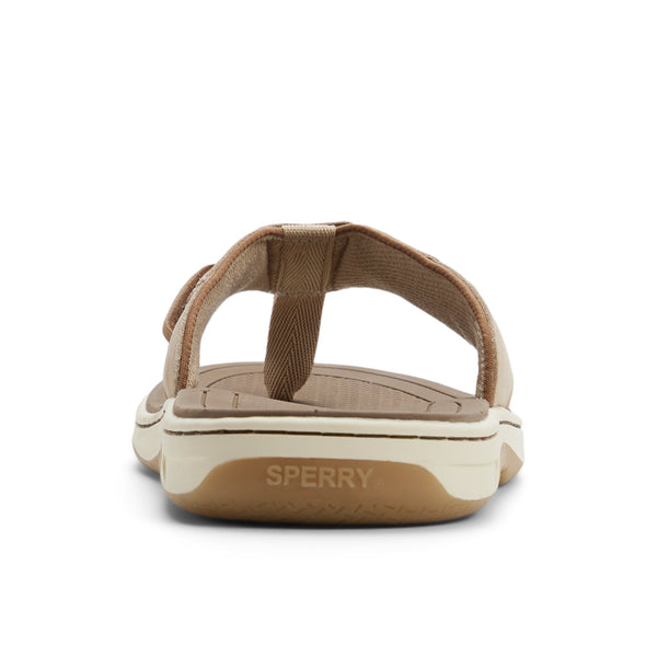 Sperry Top Sider Baitfish Thong Sandal Taupe
