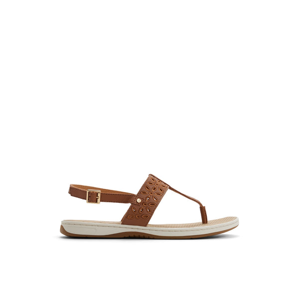 sperry top sider Sunfish Thong Sandal Cream