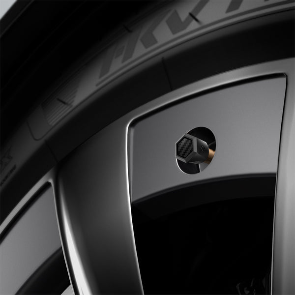 Spigen Universal Tire Valve Stem Cap | VS100