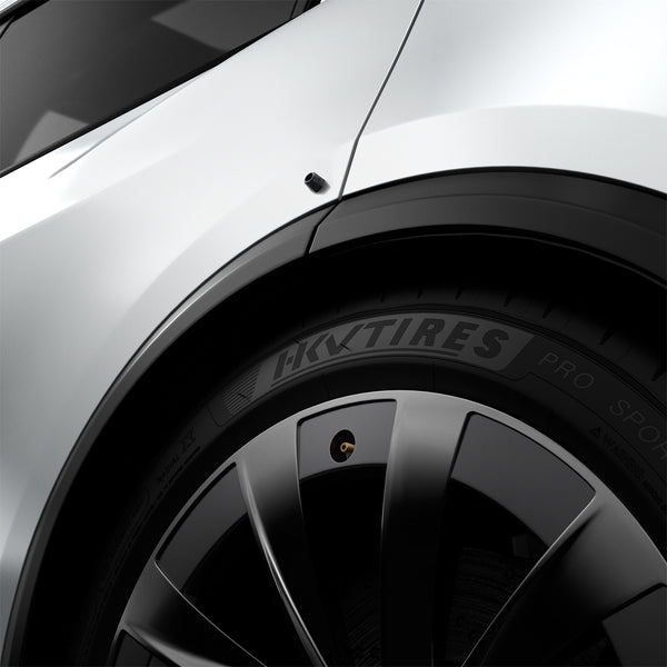 Spigen Universal Tire Valve Stem Cap | VS100