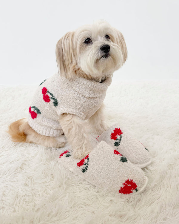 Splendid Cherries Fuzzy Pet Sweater
