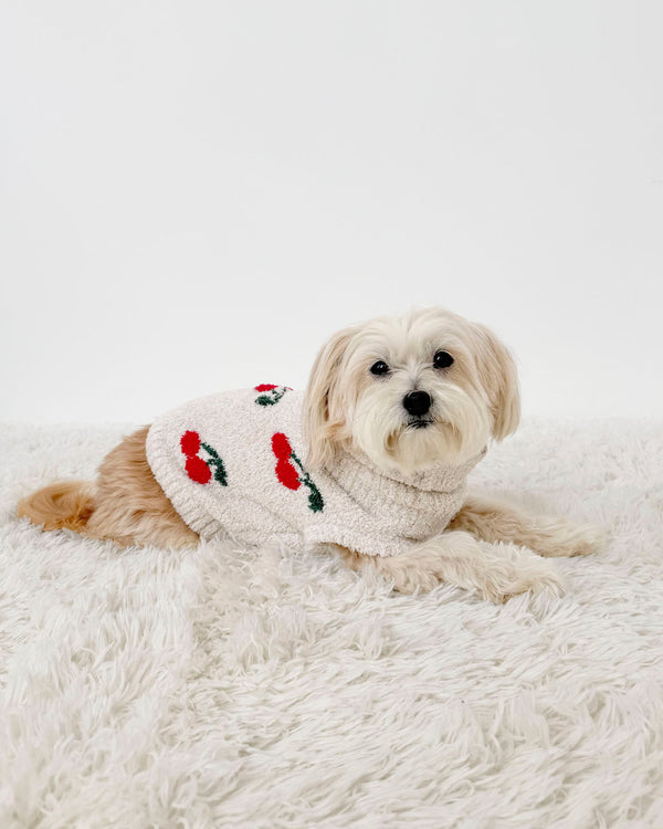 Splendid Cherries Fuzzy Pet Sweater