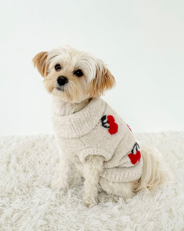splendid Cherries Fuzzy Pet Sweater