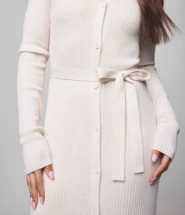 Splendid Georgie Cashblend Button Down Dress