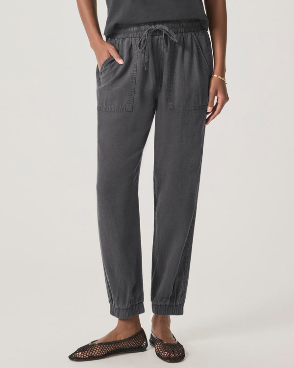 Splendid Lakeside Jogger