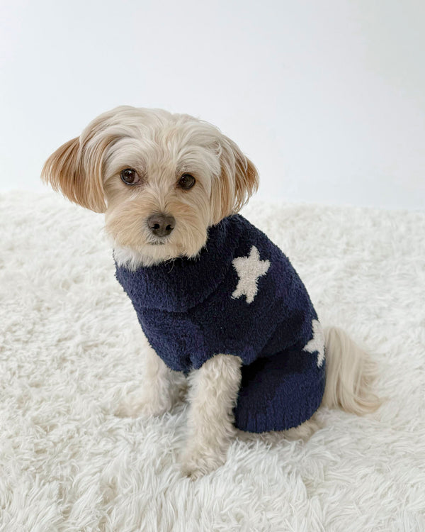 Splendid Navy Oat Stars Fuzzy Pet Sweater