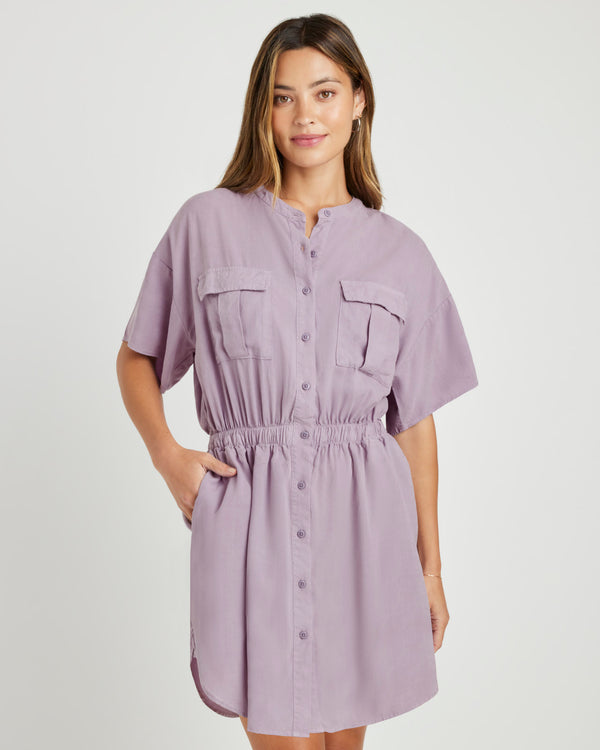 Splendid Raquel Mini Dress