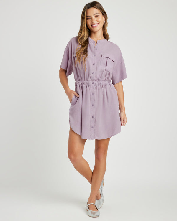 splendid Raquel Mini Dress