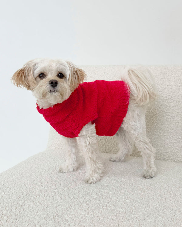 splendid Red Fuzzy Pet Sweater